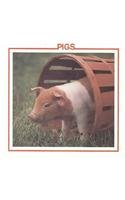 Pigs (Farm Animal Discovery Library)
