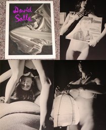 David Salle: Photographs