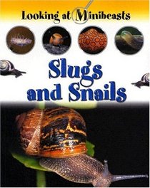 Slugs and Snails (Looking at Minibeasts)