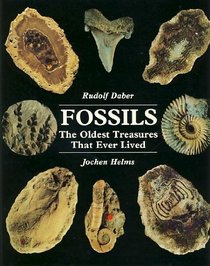 Fossils: The Oldest Treasures That Ever Lived