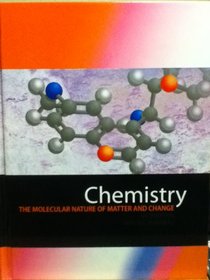 Chemistry the Molecular Nature of Matter and Change 6e