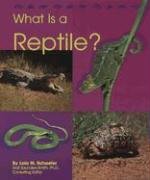 What Is a Reptile (Animal Kingdom)