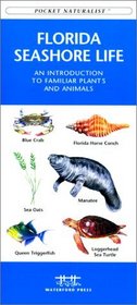Florida Seashore Life (Pocket Naturalist)