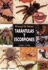 Tarantulas Y Escorpiones (Manuales Del Terrario) (Spanish Edition)