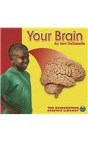 Your Brain (Bridgestone Science Library: Your Body)