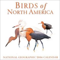 Birds Of North America 2004 Wall Calendar