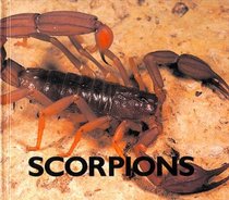 Scorpions (Naturebooks)