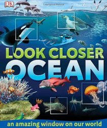 Look Closer: Ocean