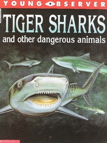 Tiger sharks and other dangerous animals (Young observer)