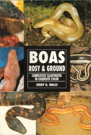 Boas: Rosy & Ground