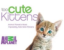 Too Cute Kittens: Animal Planet's Most Impossibly Adorable Kittens