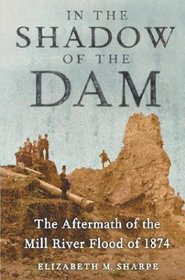 In the Shadow of the Dam : The Aftermath of the Mill River Flood of 1874