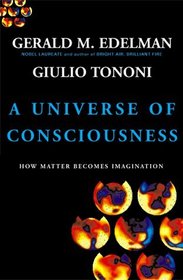 A Universe of Consciousness: How Matter Becomes Imagination