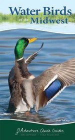 Water Birds of the Midwest (Adventure Quick Guides)