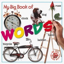 My Big Book of Words (My Big Board Books)