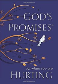 God's Promises for When You are Hurting