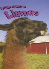 Llamas (Farm Animals)
