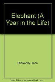 Elephant (A Year in the Life)