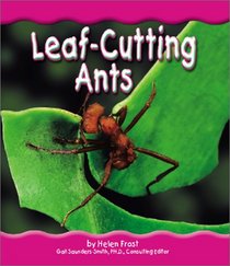 Leaf-Cutting Ants (Pebble Books)