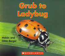 Grub to Ladybug