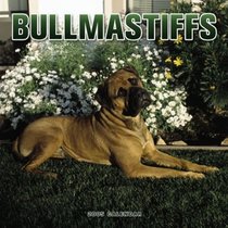 Bullmastiffs 2005 Wall Calendar