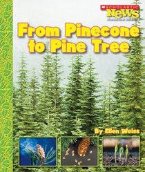 From Pinecone to Pine Tree (Scholastic News Nonfiction Readers)