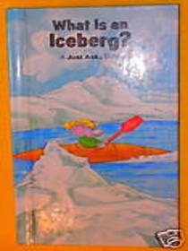 What Is an Iceberg?