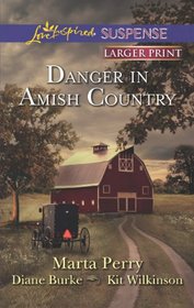 Danger in Amish Country: Fall from Grace / Dangerous Homecoming / Return to Willow Trace (Love Inspired Suspense, No 359) (Larger Print)
