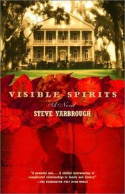 Visible Spirits : A Novel (Vintage Contemporaries)