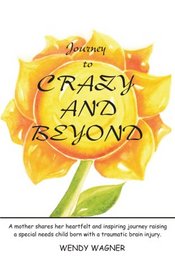 Journey To Crazy And Beyond: A mother shares her heartfelt and inspiring journey raising a special needs child born with traumatic brain injury