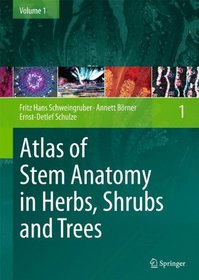 Anatomy of Stems in Herbs, Shrubs and Trees