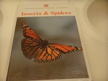 Insects & Spiders (Understanding Science & Nature)