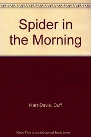 SPIDER IN THE MORNING