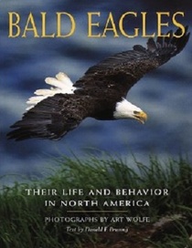 Bald Eagles: Their Life  Behavior in North America