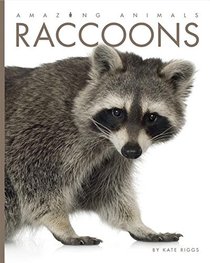 Raccoons (Amazing Animals)