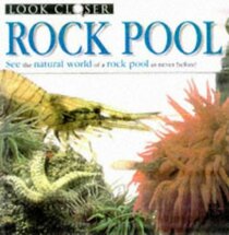 Rock Pool (Look Closer S.)