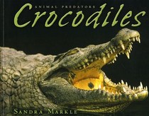 Animal Predators Crocodiles