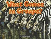 What Comes in Groups? (Leveled Math Reader, Grades K-1)