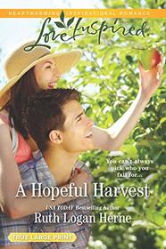 A Hopeful Harvest (Golden Grove, Bk 1) (Love Inspired, No 1257) (True Large Print)