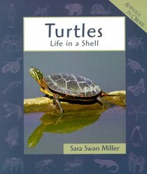 Turtles: Life in a Shell (Animals in Order Series)