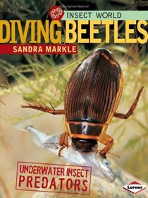 Diving Beetles (Insect World)