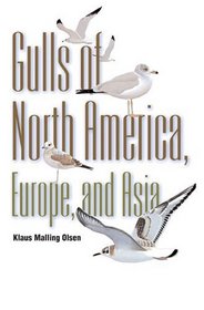 Gulls : Of North America, Europe, and Asia