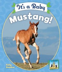 It's a Baby Mustang! (Baby Mammals)