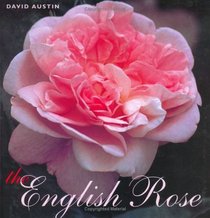 English Rose