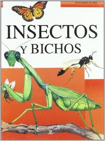 Insectos y bichos / Mini Beasts (Enciclopedia Del Saber / Encyclopedia of Knowledge) (Spanish Edition)