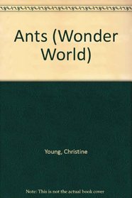 Ants (Wonder World)