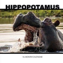 Hippopotamus Calendar 2017: 16 Month Calendar