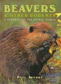 Beavers and Other Rodents (Portrait of the Animal World)