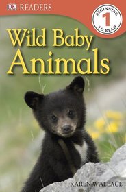 DK Readers: Wild Baby Animals