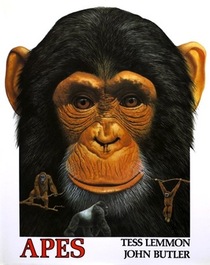 Apes (Animal Kingdom)